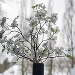Amber Brzeska 아파트