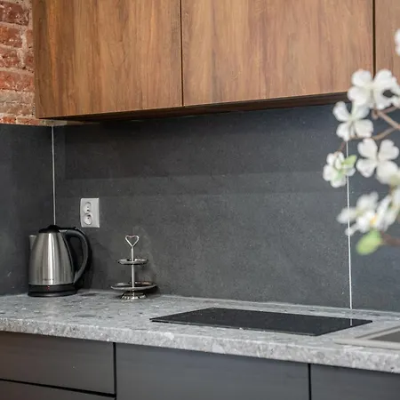 公寓 Amber Brzeska