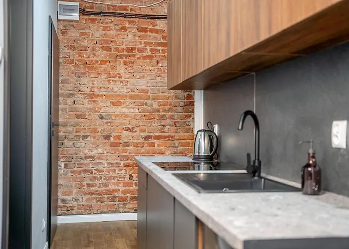 Amber Brzeska 公寓 罗兹