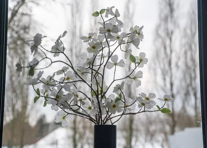 Amber Brzeska 公寓