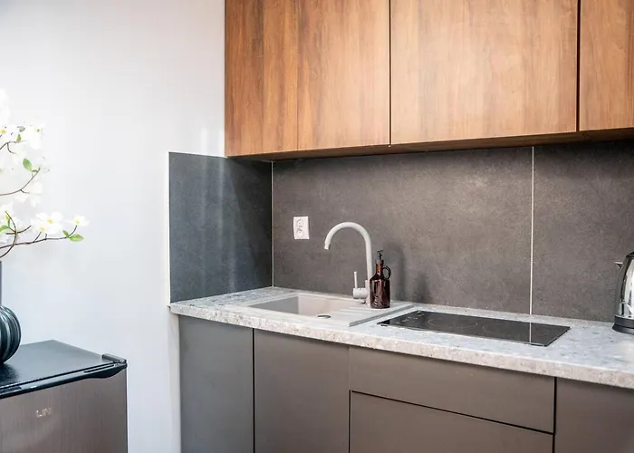 Amber Brzeska 公寓 *